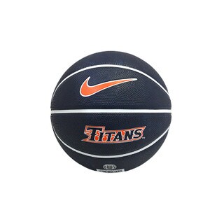 Nike Mini Basketball